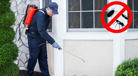 Afşin Dezenfeksiyon böcek ilaçlama ve haşere kontrolü — ilaclama-tr.com